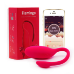 flamingo ill 4